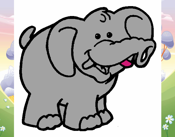 Elefante 6