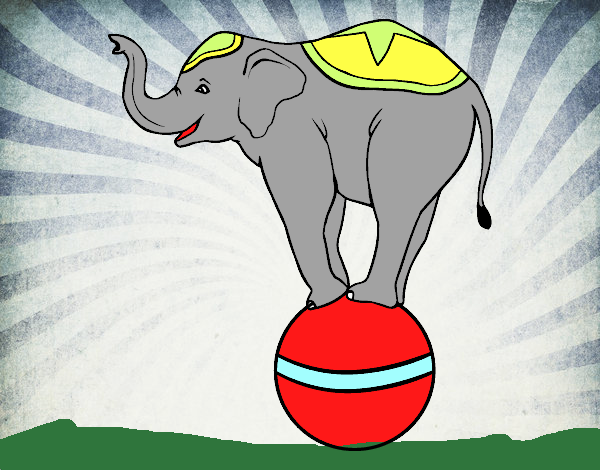 Elefante equilibrista