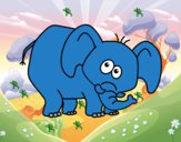 Elefante vergonzoso