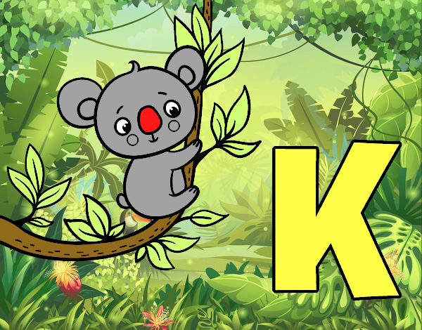 K de Koala