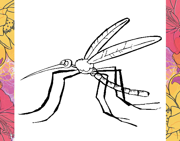 Mosquito 2