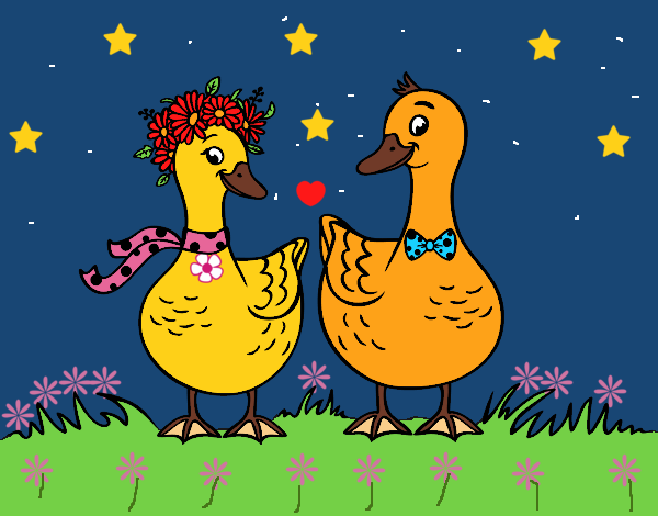 Pareja de patos