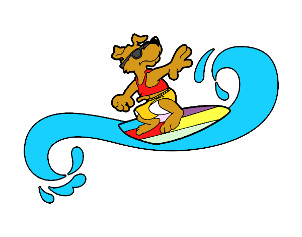 Perro surfeando