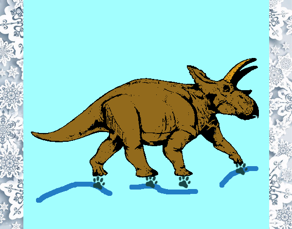 Triceratops 1