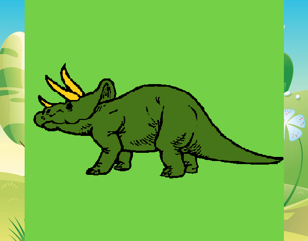 Triceratops