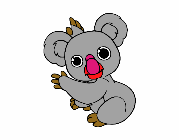 Un Koala