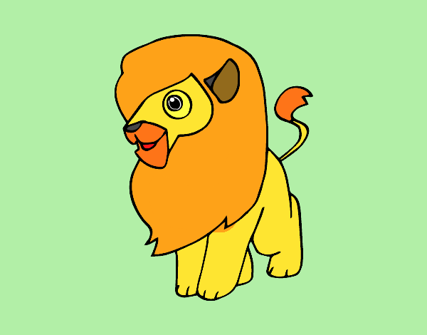 Un león