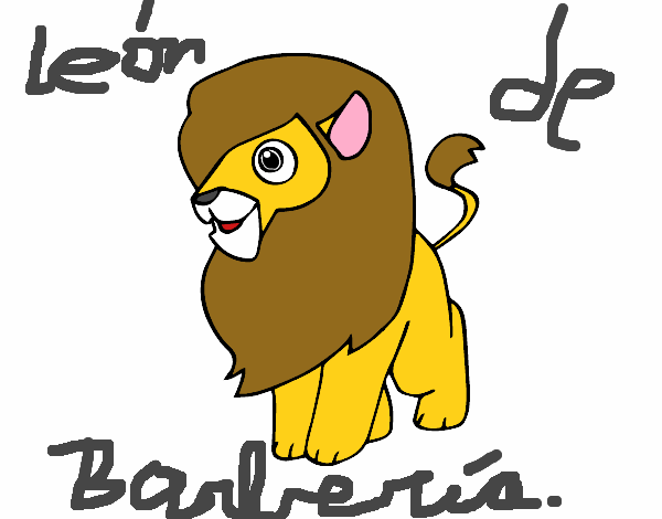 Un león