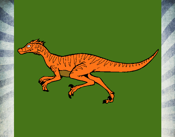 Velociraptor