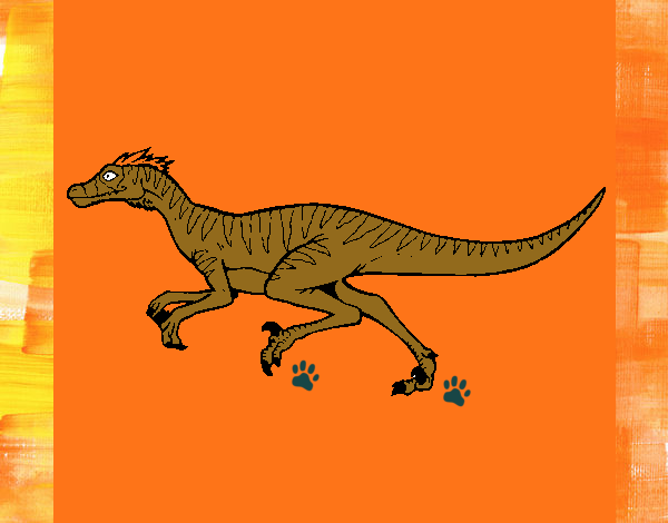 Velociraptor