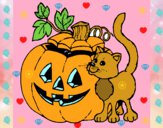 Calabaza y gato