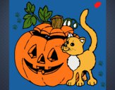 Calabaza y gato