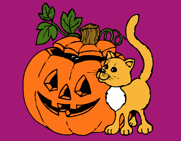 Calabaza y gato