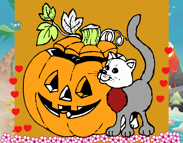 Calabaza y gato