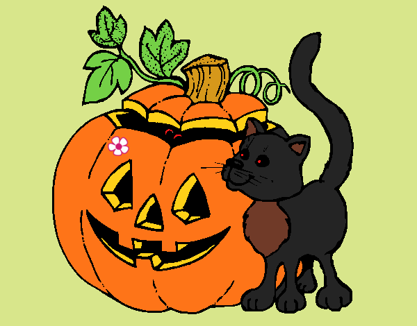 Calabaza y gato