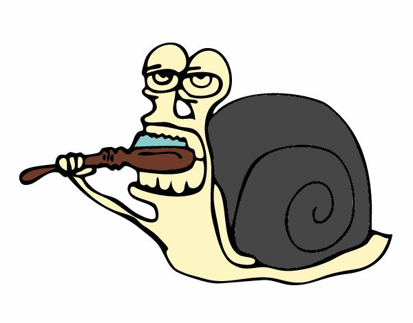 Caracol limpio