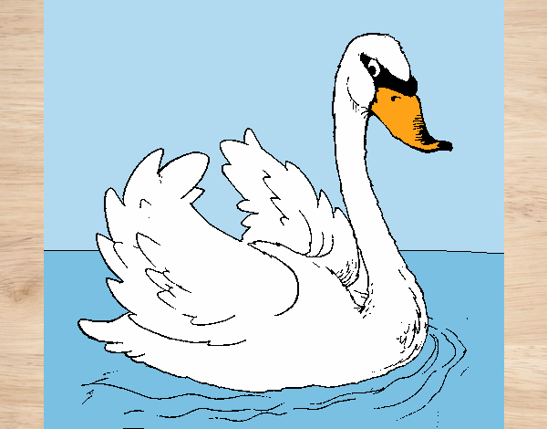 Dibujo Cisne en el agua pintado por dianita12