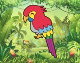 Guacamayo