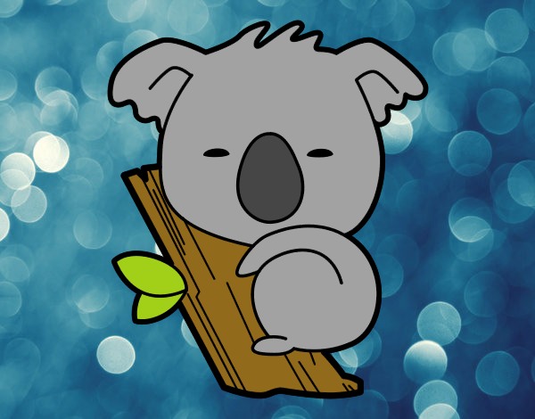 Koala bebé