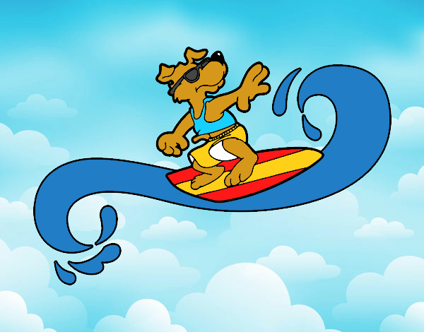 Perro surfeando