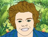 Retrato de Harry Styles