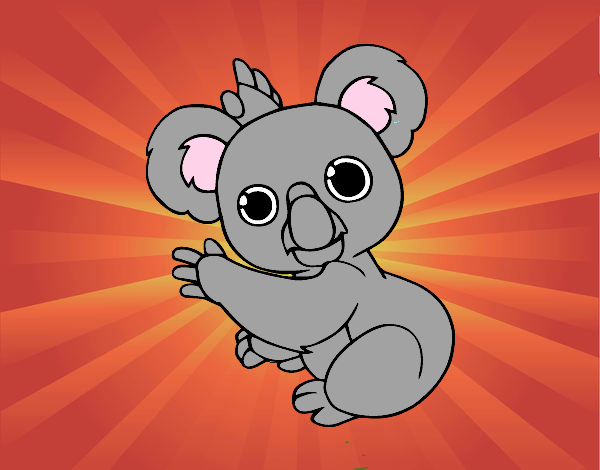 Un Koala