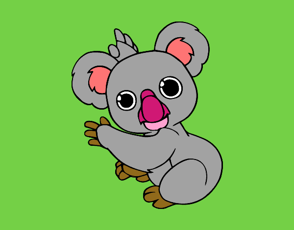 Un Koala