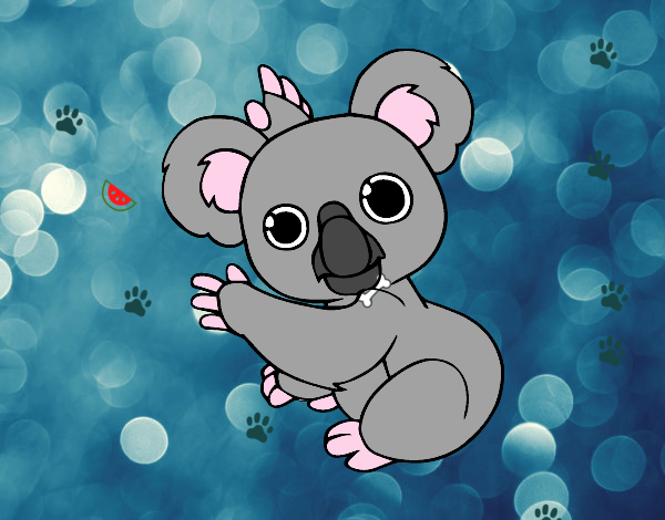 Un Koala