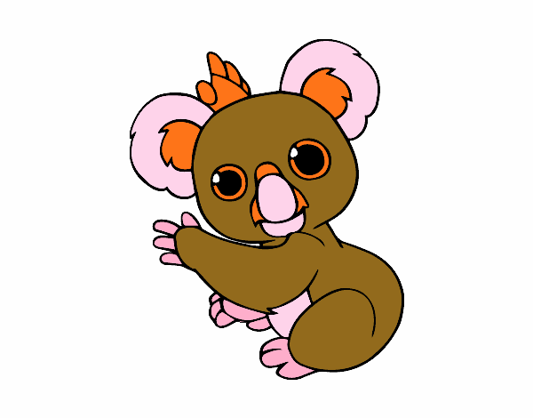 Un Koala