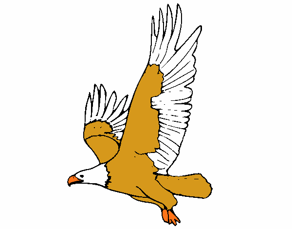 Águila volando