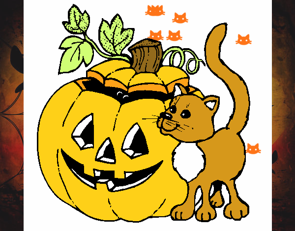 Calabaza y gato