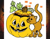 Calabaza y gato