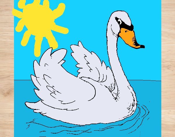 Cisne en el agua