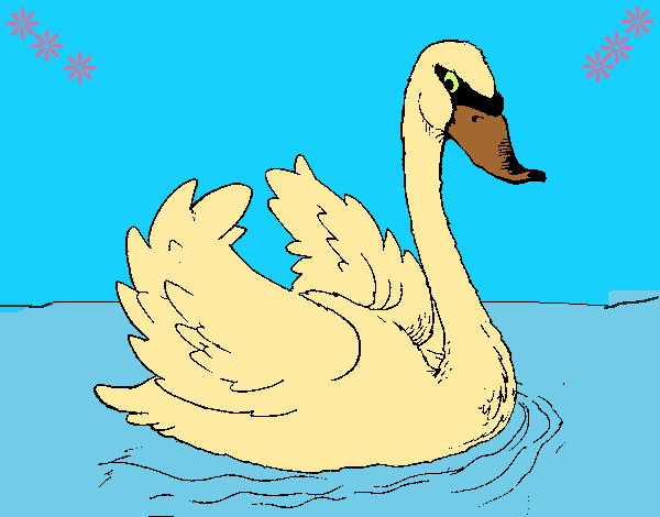 Cisne en el agua