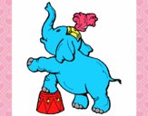 Elefante