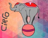 Dibujo Elefante equilibrista pintado por kawaiigame