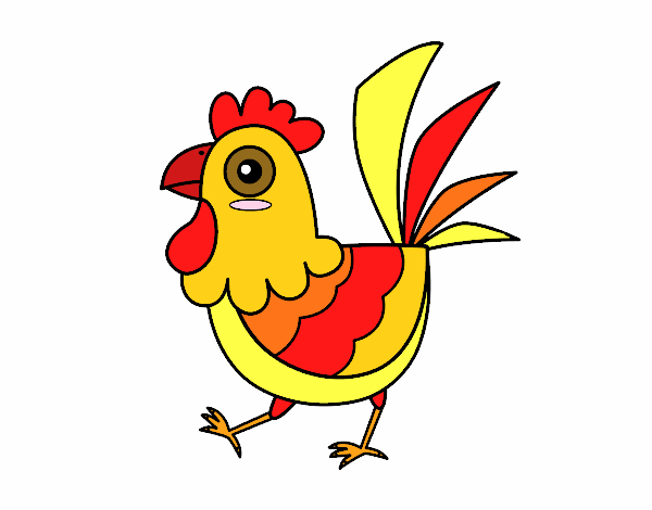 Gallina de granja