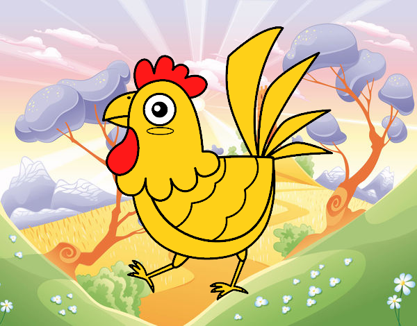 Gallina de granja