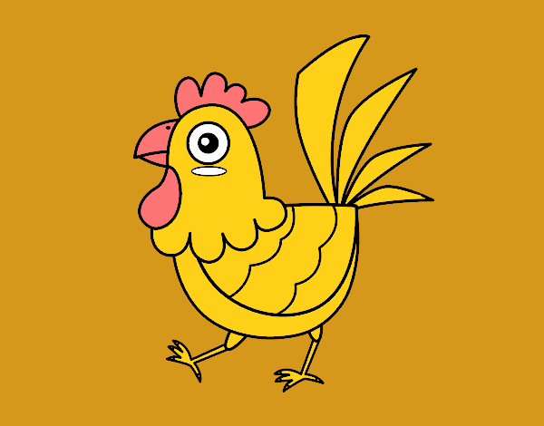 Gallina de granja