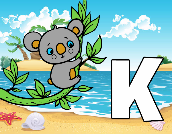 K de Koala