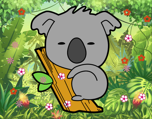 Koala bebé