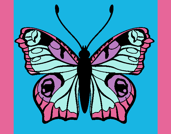 Dibujo Mariposa 20 pintado por sofiangy