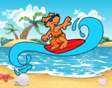 Perro surfeando