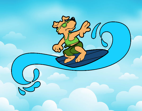 Perro surfeando