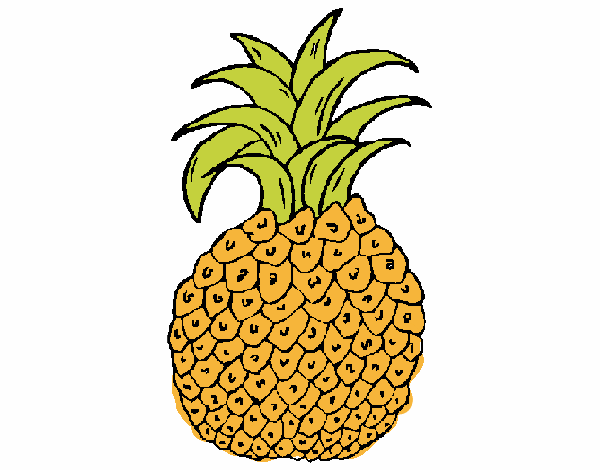 piña