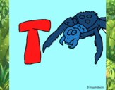 Tarántula