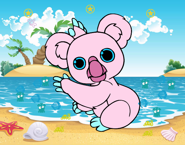 KOALA DE PLAYA