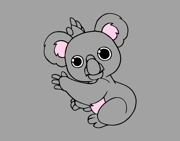 Un Koala