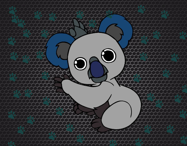 Un Koala