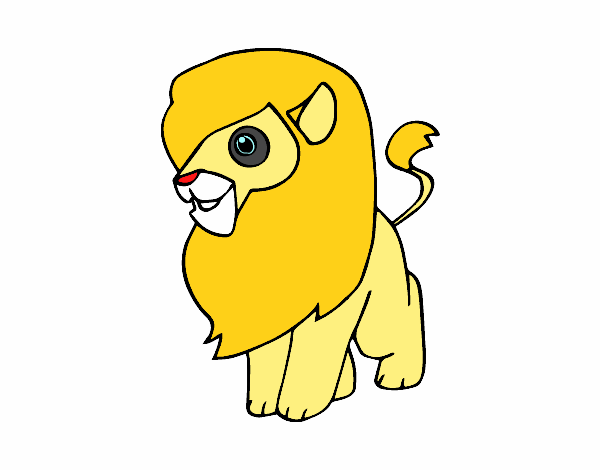 Un león